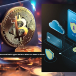 Decentralized Crypto Wallets